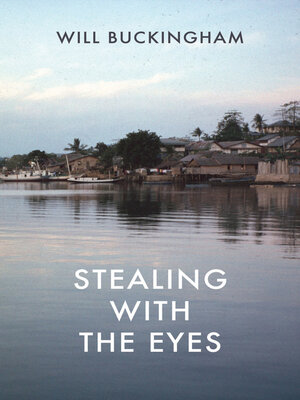 cover image of Stealing with the Eyes